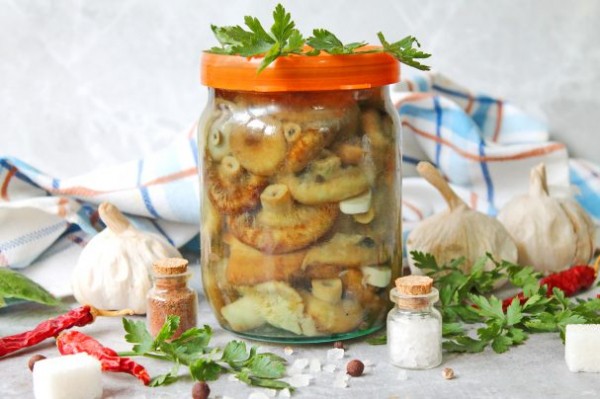 Маринованные волнушки Маринованные волнушки