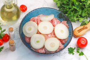 Шашлык из курицы в аэрогриле Шашлык из курицы в аэрогриле